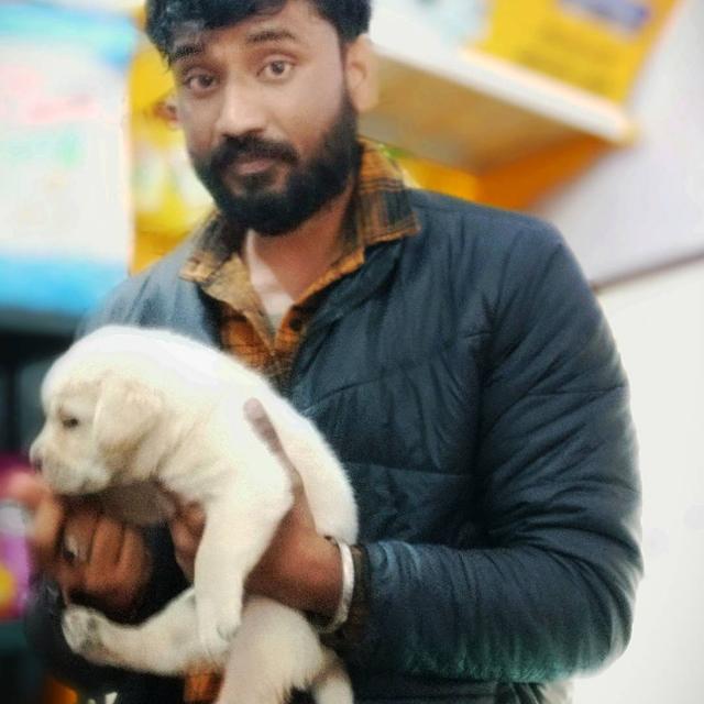 Uttarakhand Dog Lovers. Whatsapp Group Invite Link 2023