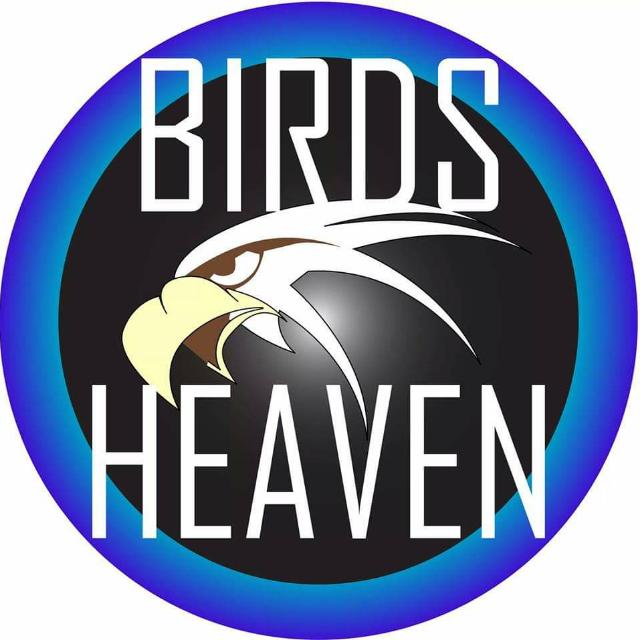 Birds Heaven 🕊 Whatsapp Group Invite Link 2023