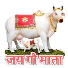 Indian cattle feed frinds Whatsapp Group Invite Link 2023