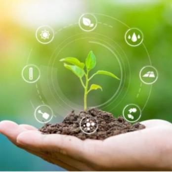 🪴🌾సేంద్రియ వ్యవసాయం🌽🌱 Whatsapp Group Invite Link 2023