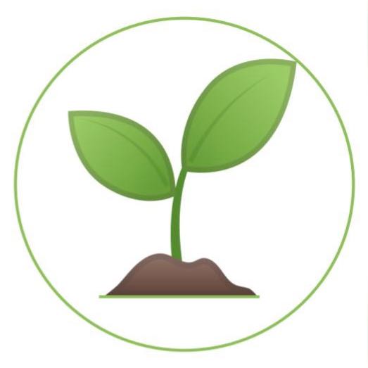 RaysRN Succulent Sale Whatsapp Group Invite Link 2023