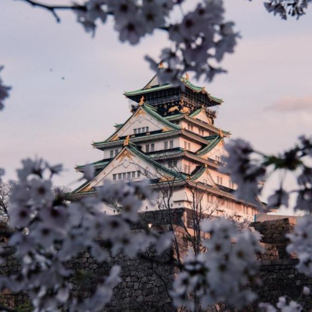 JLPT N5 ⛔JAPANES EXAM🌸 Whatsapp Group Invite Link 2023