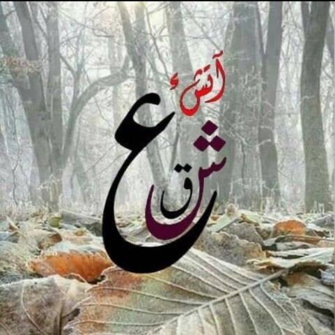 Only sad peotry and sad video's Whatsapp Group Invite Link 2023