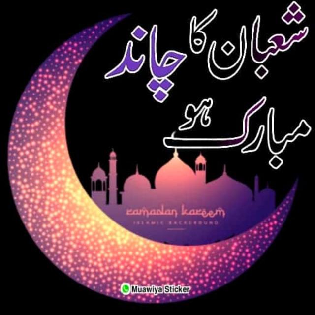 Islamic videos Whatsapp Group Invite Link 2023