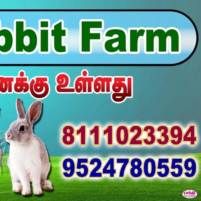 Gi_jo Rabbit farm🐇& pets kallakurichi Whatsapp Group Invite Link 2023