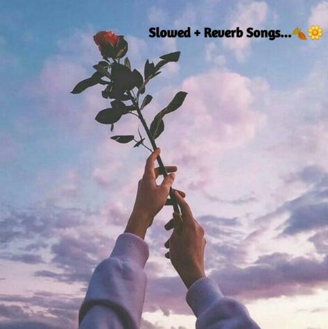 Ｓｌｏｗｅｄ +Ｒｅｖｅｒｂ 🌈Ｓｏｎｇｓ... 🐣💗 Whatsapp Group Invite Link 2023