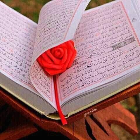 The Holy Quran learning  Whatsapp Group Invite Link 2023