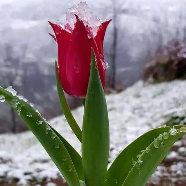 Hunza Gilgit Skardo Tours Whatsapp Group Invite Link 2023