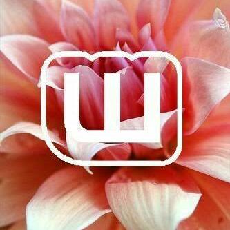 Wattpaders aesthetic 🌈 Whatsapp Group Invite Link 2023