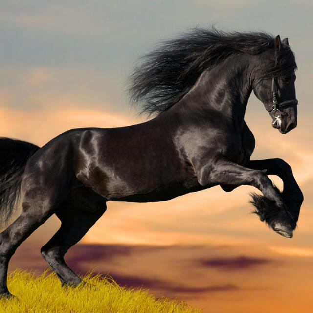 AZEEZHIMSELF LOTTO FAMOUS Whatsapp Group Invite Link 2023