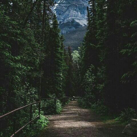 Bhaag jaooo Whatsapp Group Invite Link 2023