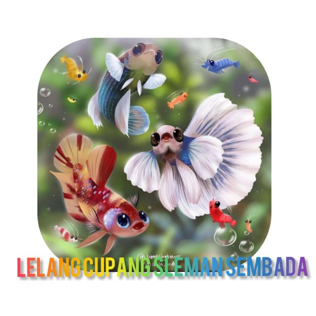 LELANG CUPANG PERBATASAN Whatsapp Group Invite Link 2023