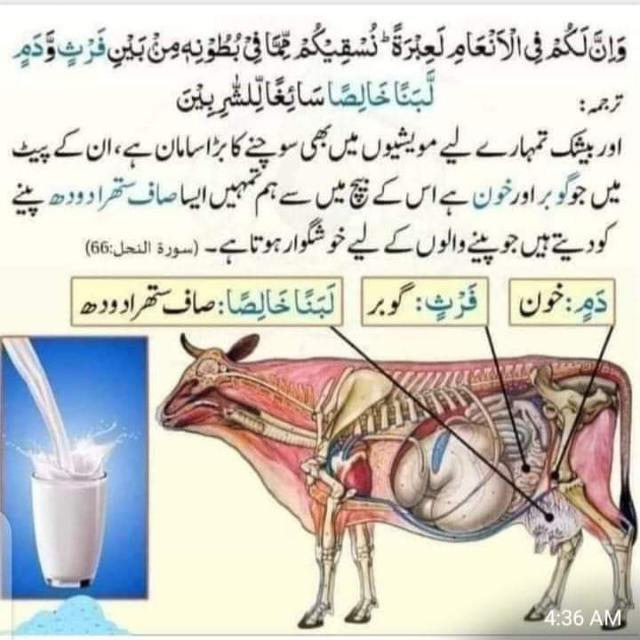 ONLY CATTLE FARMING🐄🐏 Whatsapp Group Invite Link 2023