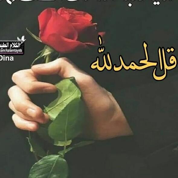 🌹Holy Quran🌹 Whatsapp Group Invite Link 2023