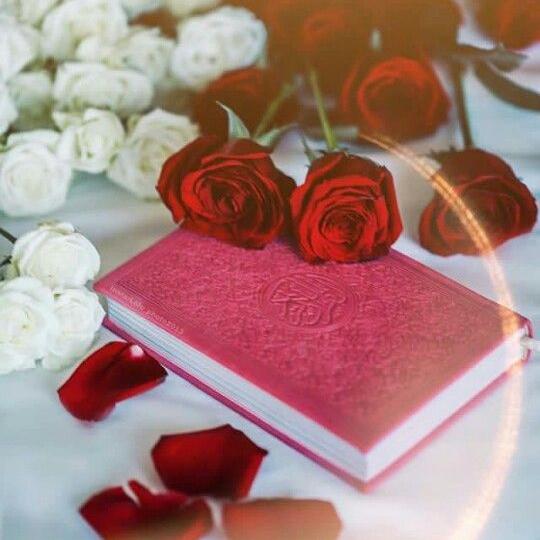 Ayat and ahadees ✨✨ Whatsapp Group Invite Link 2023