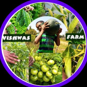 Vishwas Farm family..01 Whatsapp Group Invite Link 2023