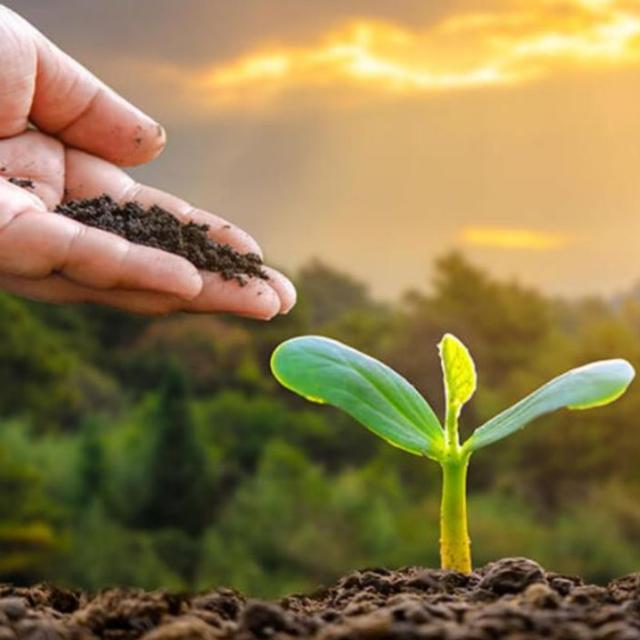 Farmers 🌱 Whatsapp Group Invite Link 2023