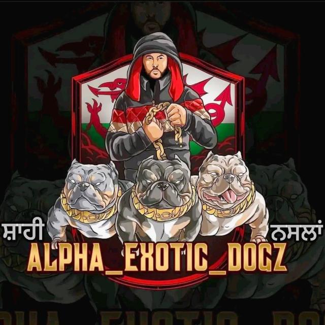 DOG 🐕 LOVER (ਜਿੰਦਜਾਨ)  Whatsapp Group Invite Link 2023