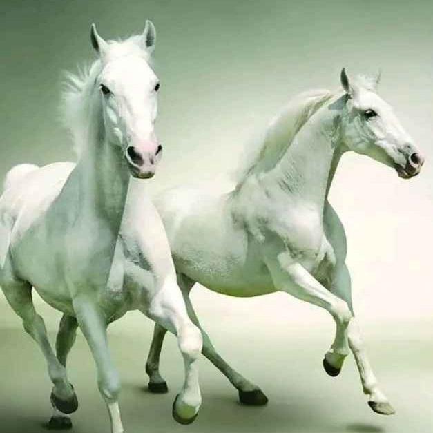 Hyd real estate Whatsapp Group Invite Link 2023