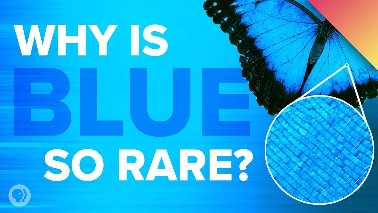 Link Group Blue Telegram Group