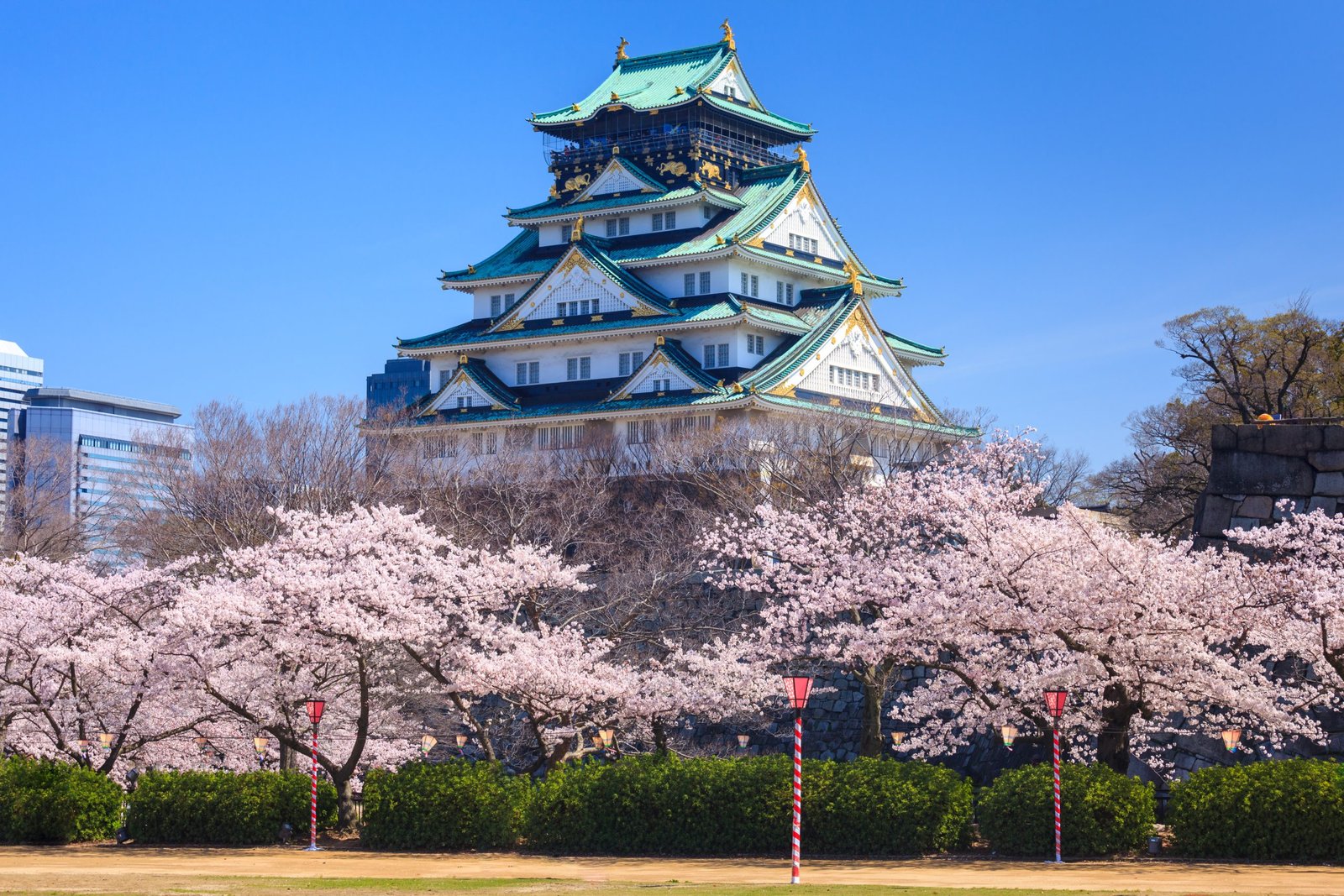 Osaka Telegram Group Link
