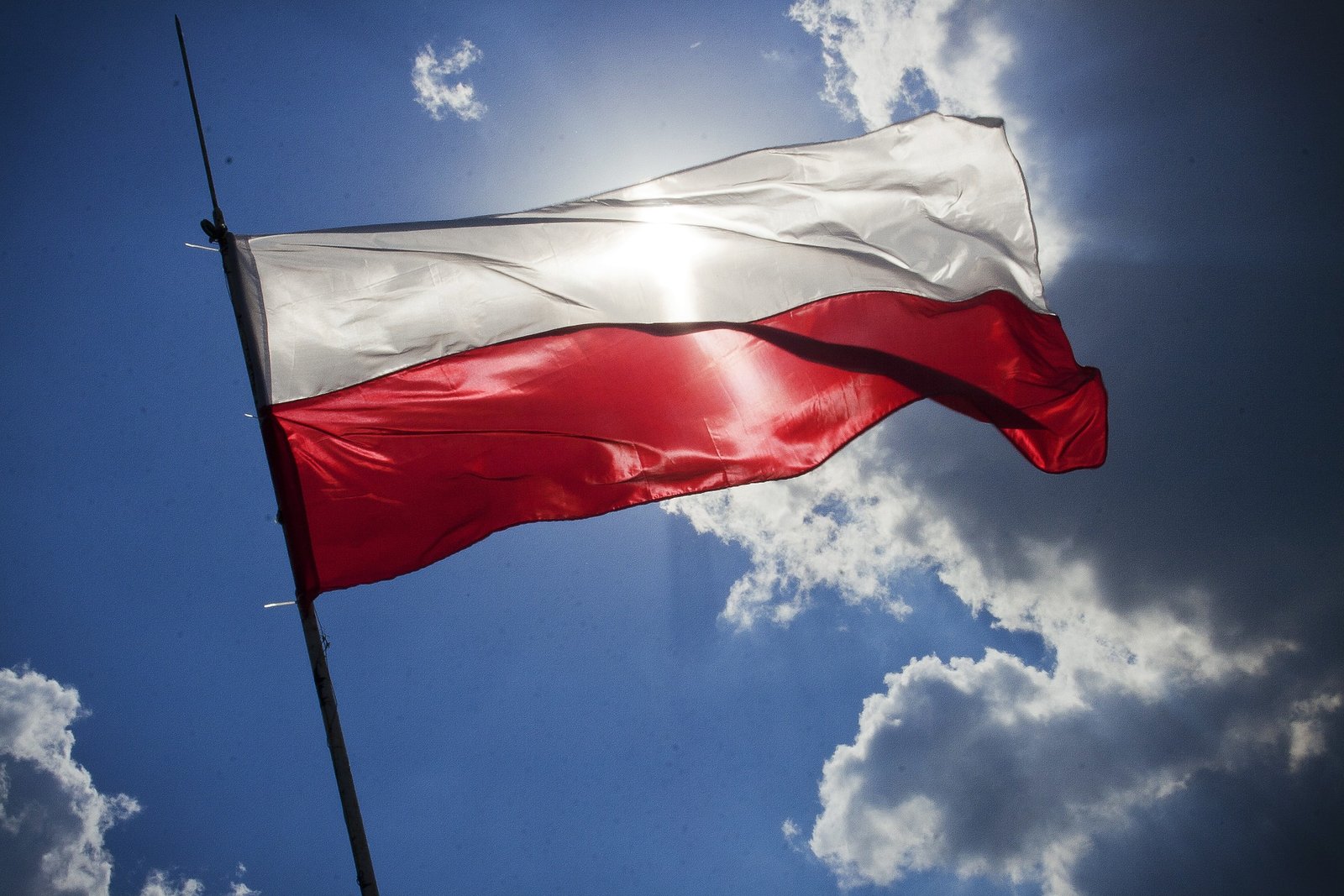 Poland Business Telegram Group
