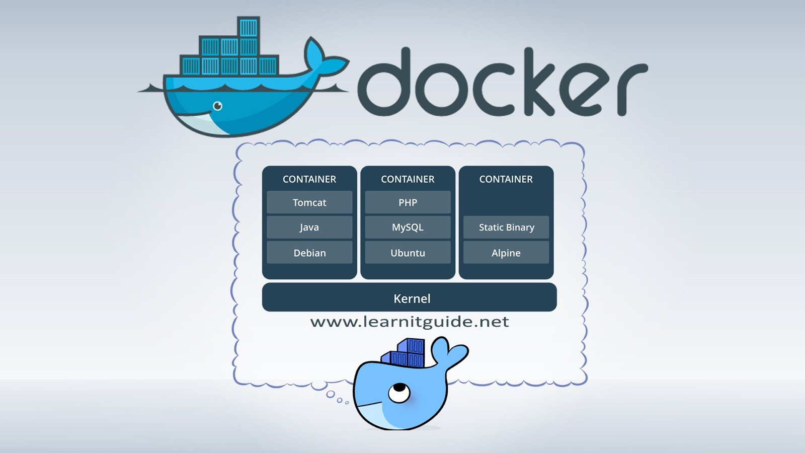 Docker WhatsApp Group Link Join 2023