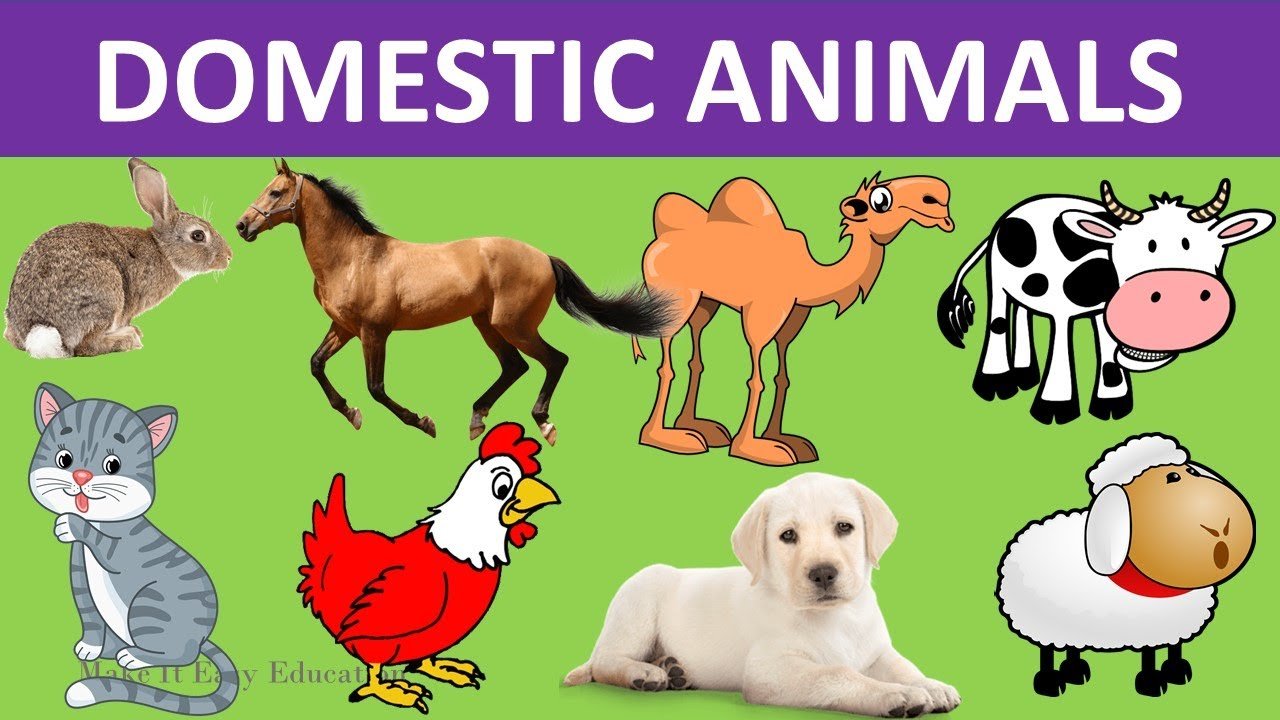 Animals and Pets WhatsApp Group Link Join 2023
