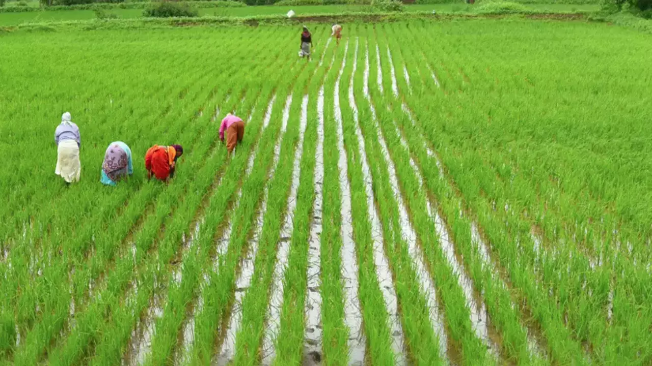 Agriculture Tamilnadu Whatsapp Group Link Join 2026