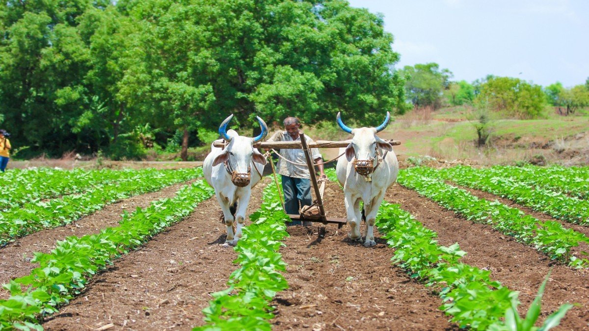 Maharashtra Agriculture Whatsapp Group Link Join 2023