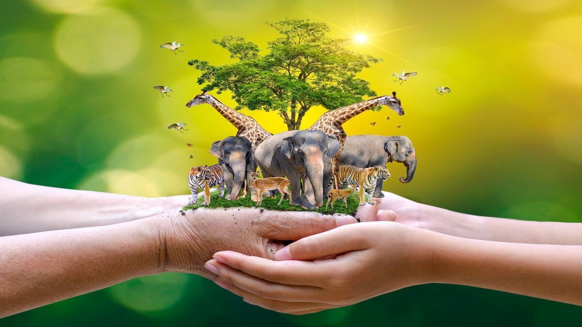 Animal Whatsapp Group Link Join 2023