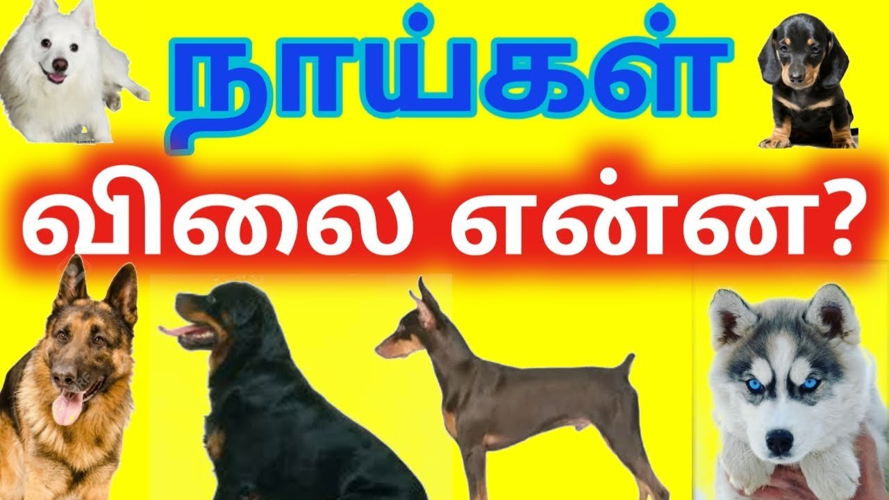Tamilnadu Dog Sale Whatsapp Group Link Join 2023