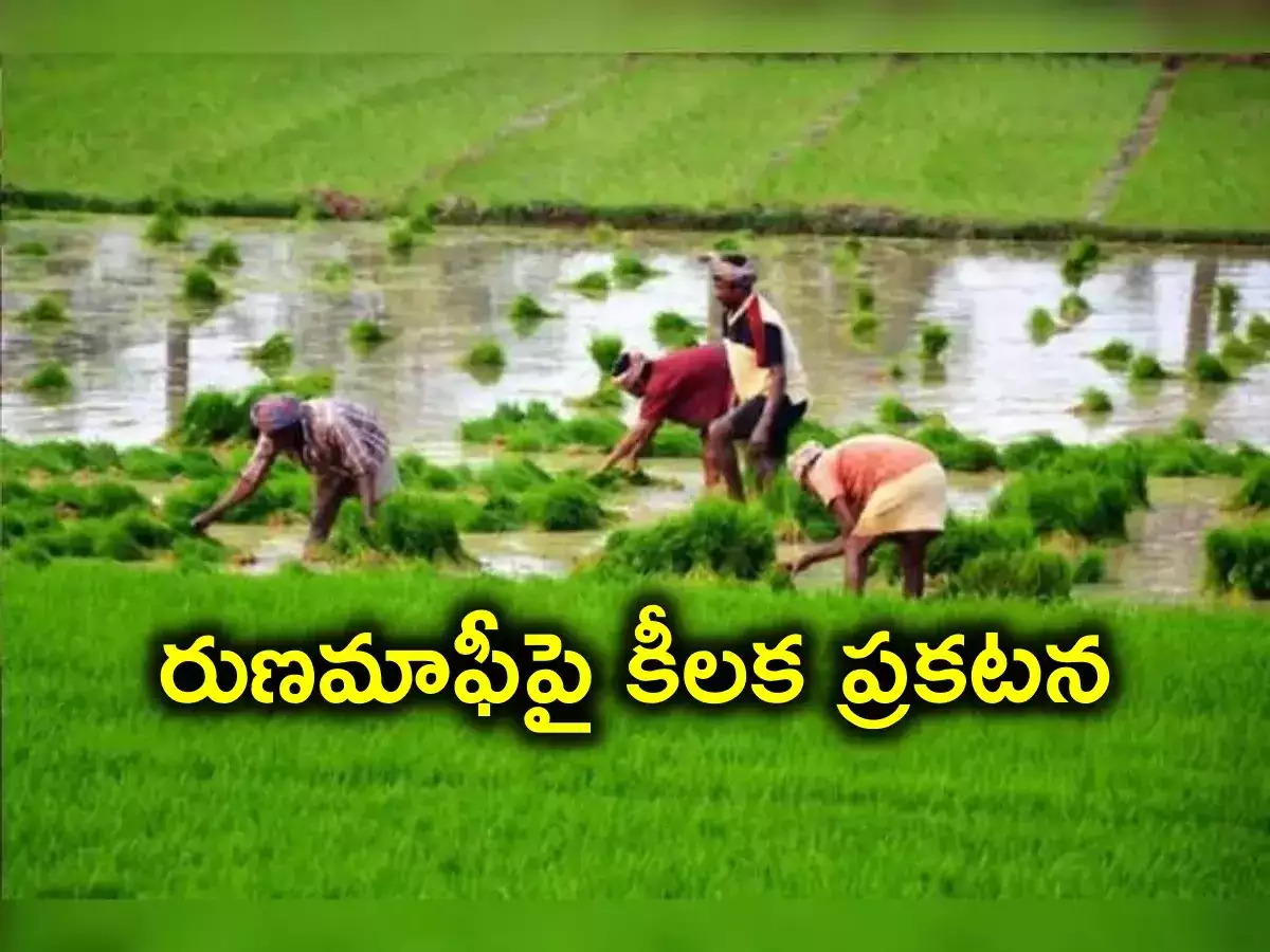 Telegu Agriculture Whatsapp Group Link Join 2023