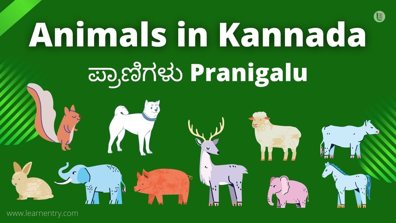 Kannada Animals Whatsapp Group Link Join 2023
